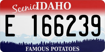 ID license plate E166239