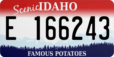 ID license plate E166243