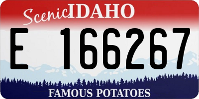 ID license plate E166267