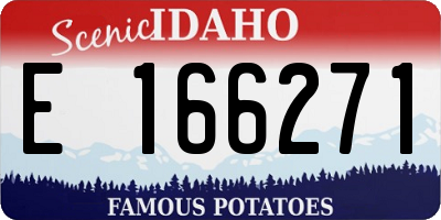 ID license plate E166271