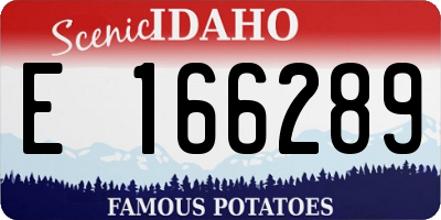 ID license plate E166289
