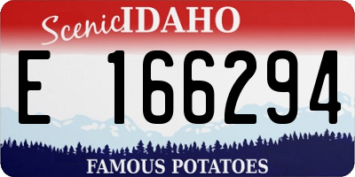ID license plate E166294