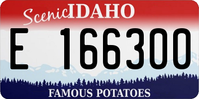 ID license plate E166300