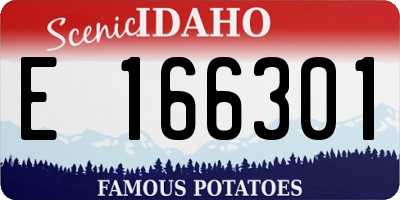 ID license plate E166301