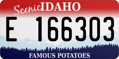 ID license plate E166303