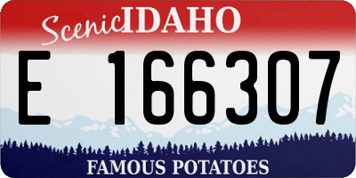 ID license plate E166307