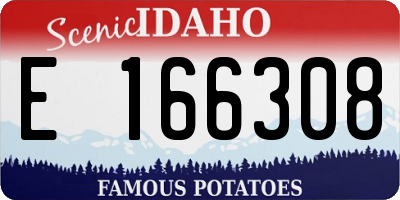 ID license plate E166308