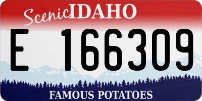 ID license plate E166309