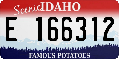 ID license plate E166312