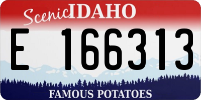 ID license plate E166313