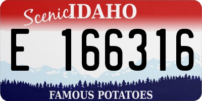 ID license plate E166316