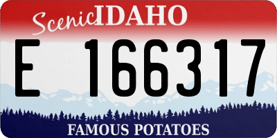ID license plate E166317
