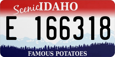 ID license plate E166318