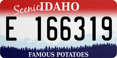 ID license plate E166319