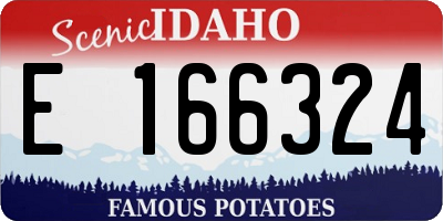 ID license plate E166324