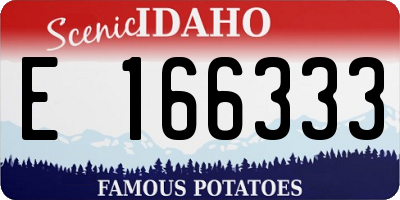 ID license plate E166333