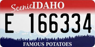 ID license plate E166334