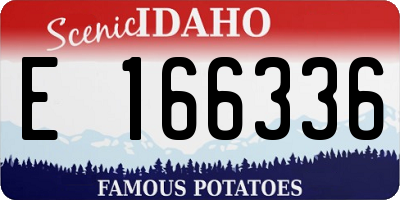 ID license plate E166336