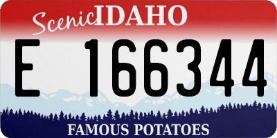 ID license plate E166344