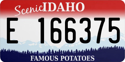 ID license plate E166375