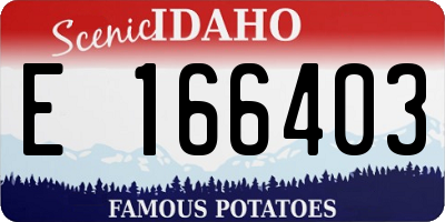 ID license plate E166403
