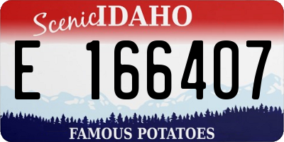 ID license plate E166407