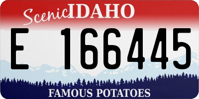 ID license plate E166445