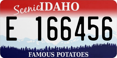 ID license plate E166456