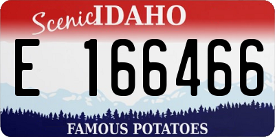 ID license plate E166466