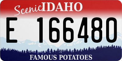 ID license plate E166480