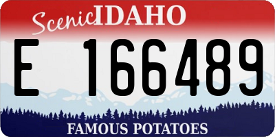ID license plate E166489