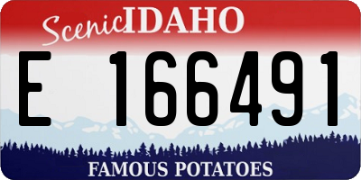 ID license plate E166491