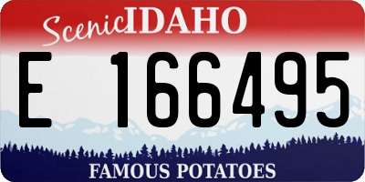 ID license plate E166495
