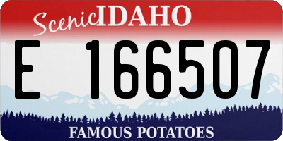 ID license plate E166507