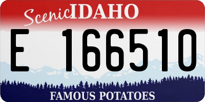 ID license plate E166510