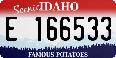 ID license plate E166533