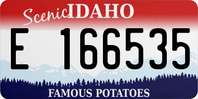 ID license plate E166535