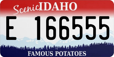 ID license plate E166555