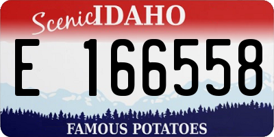 ID license plate E166558