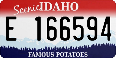 ID license plate E166594