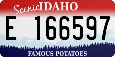 ID license plate E166597