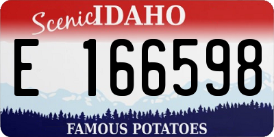 ID license plate E166598