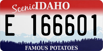 ID license plate E166601