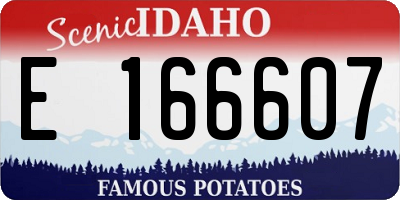 ID license plate E166607