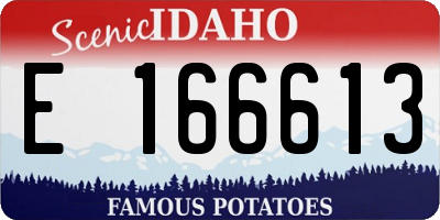 ID license plate E166613