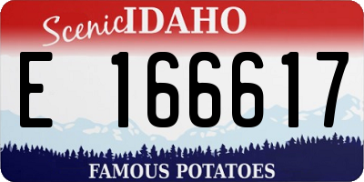 ID license plate E166617