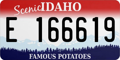 ID license plate E166619