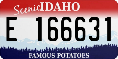ID license plate E166631