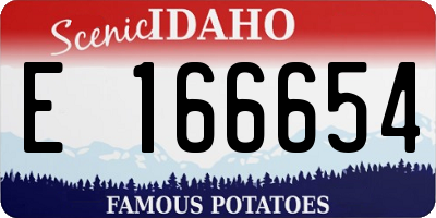 ID license plate E166654