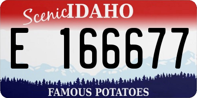ID license plate E166677